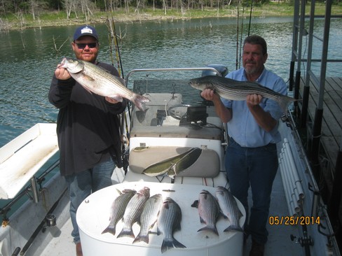 Nice Striped Bass